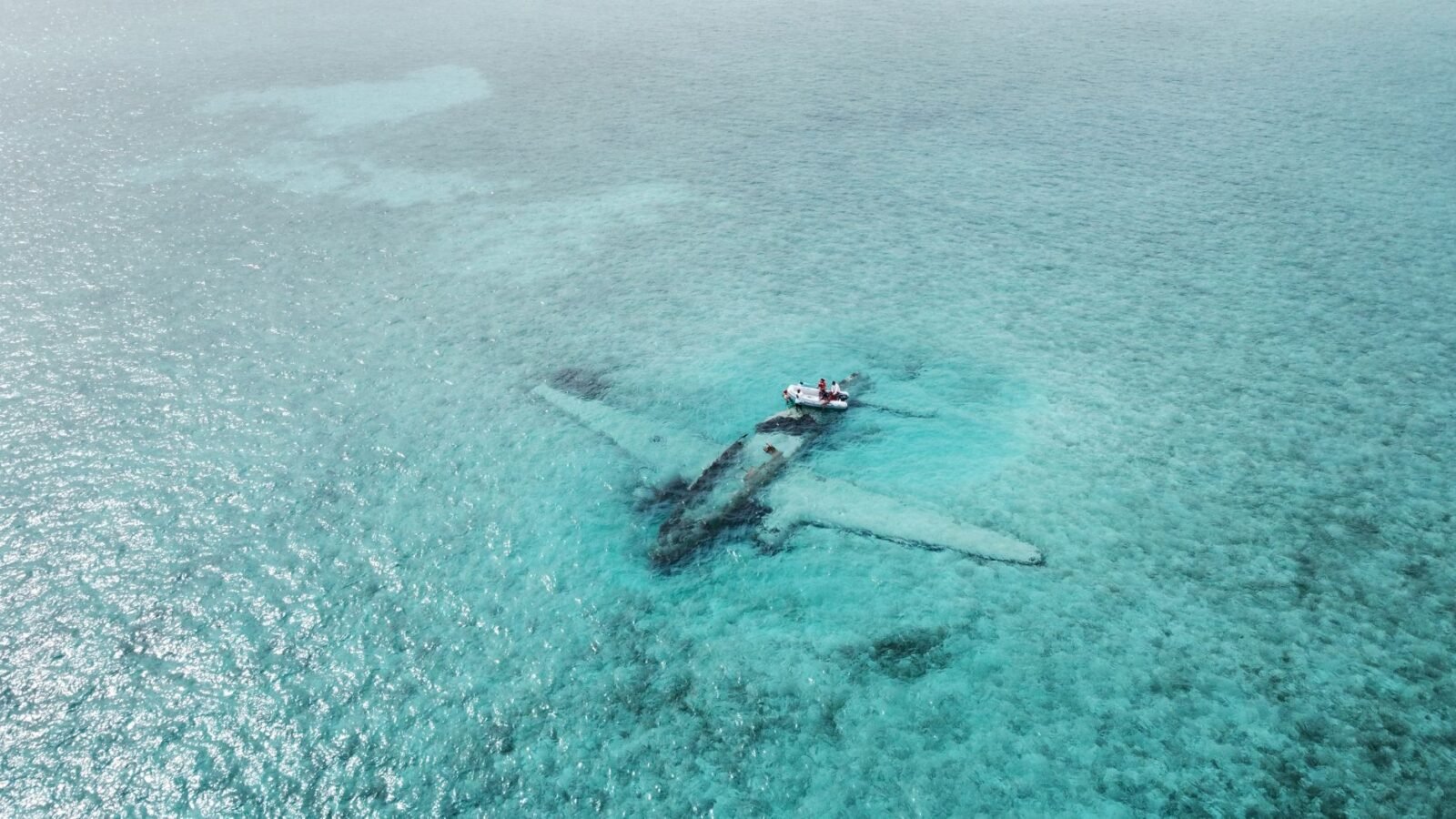 Bahamas Crash: 10 Dead, Musicians Included, Sparking Charter Safety Debate