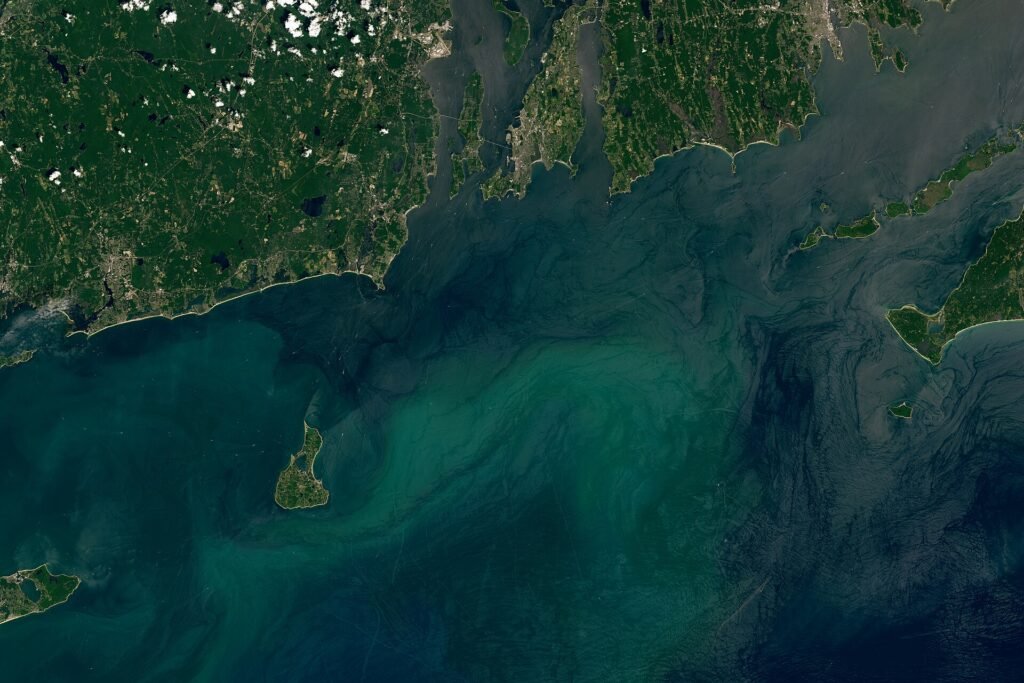 Thematic lead image: offshore wind farm — US Offshore Wind Cancellations: A Policy Signal or Isolated Payout? | National Times
