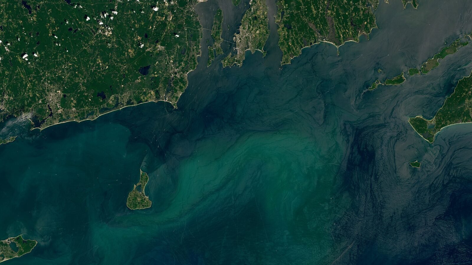 Thematic lead image: offshore wind farm — US Offshore Wind Cancellations: A Policy Signal or Isolated Payout? | National Times