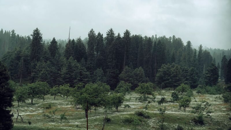 Thematic lead image: Kashmir political unrest — Kashmir Vote Postponement Signifies Deepening Political Fragmentation | National Times
