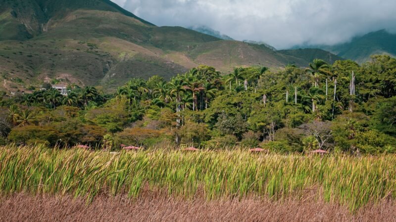 Thematic lead image: oil derricks, US flag — US 'America First' Oil Deals in Venezuela: A New Mercantilism? | National Times