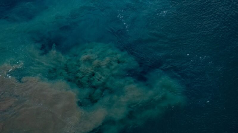 Thematic lead image: ocean warming, El Niño — Oceanic Warming Intensifies: El Niño's Unprecedented Strain on Marine Systems | National Times