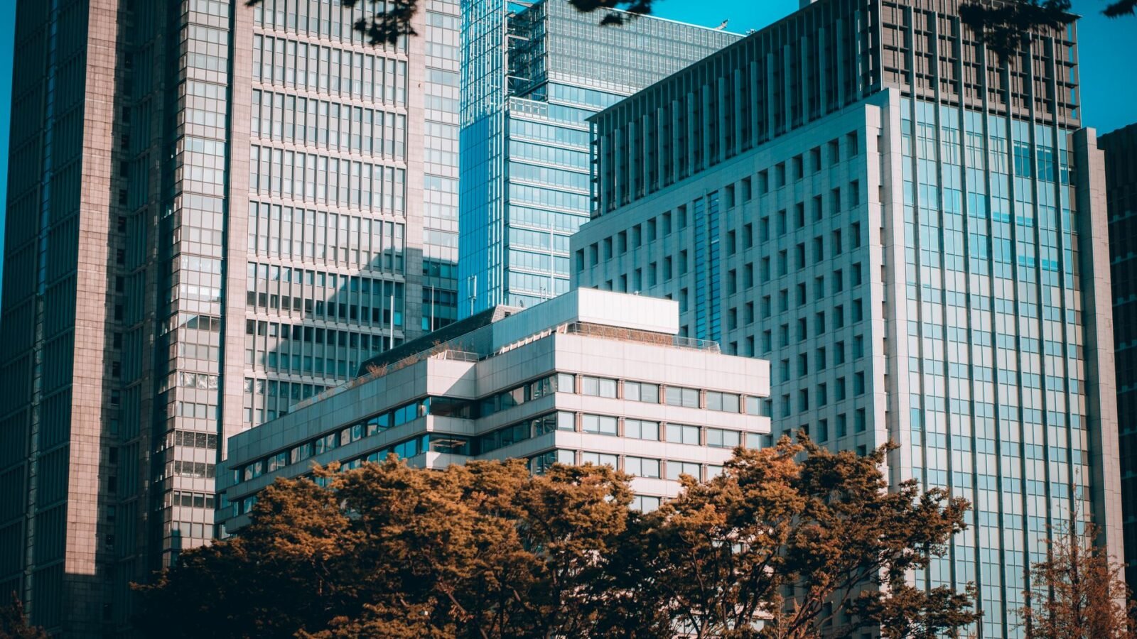 Thematic lead image: economic indicators, central bank — Japan's Producer Price Index Challenges BOJ Rate Normalisation Path | National Times