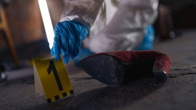 Thematic lead image: methamphetamine lab, police raid — Mexican Cartel Expansion into Southern Africa: A New Frontier for Meth Production | National Times
