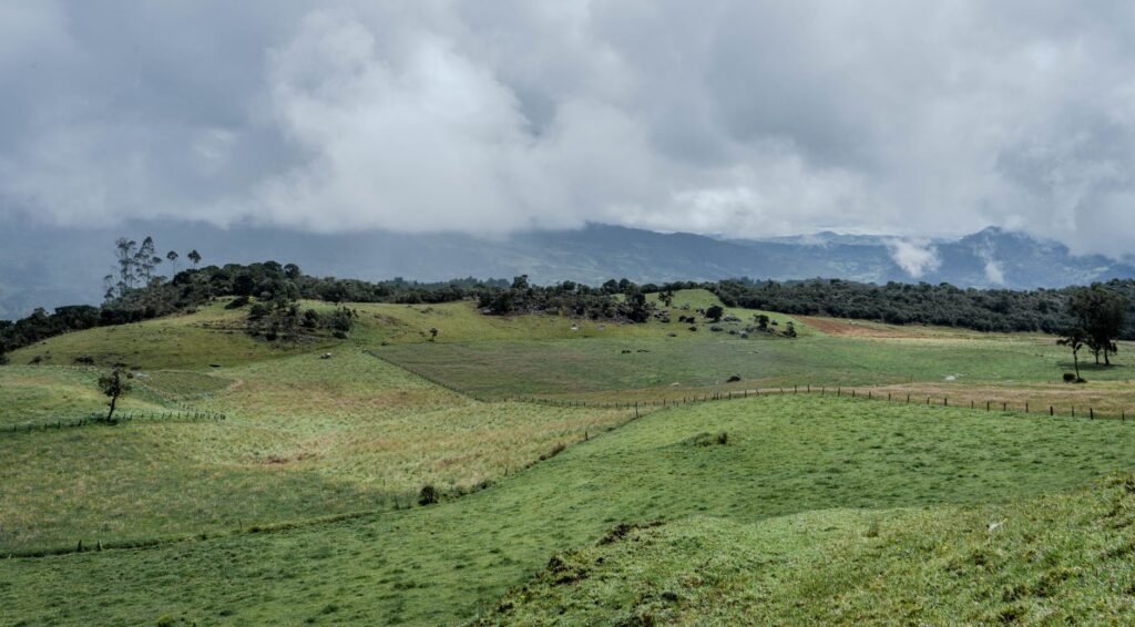 Thematic lead image: Colombian landscape, military patrol — Colombia's Post-Forero Trajectory: Three Scenarios to 2030 | National Times