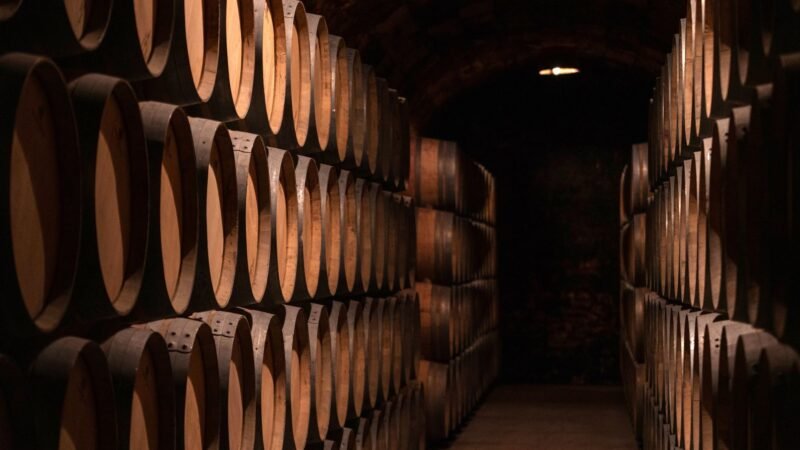 Thematic lead image: gold bars in a cellar — Belgian Gold Stash: Accidental Discovery or Pre-emptive Concealment? | National Times