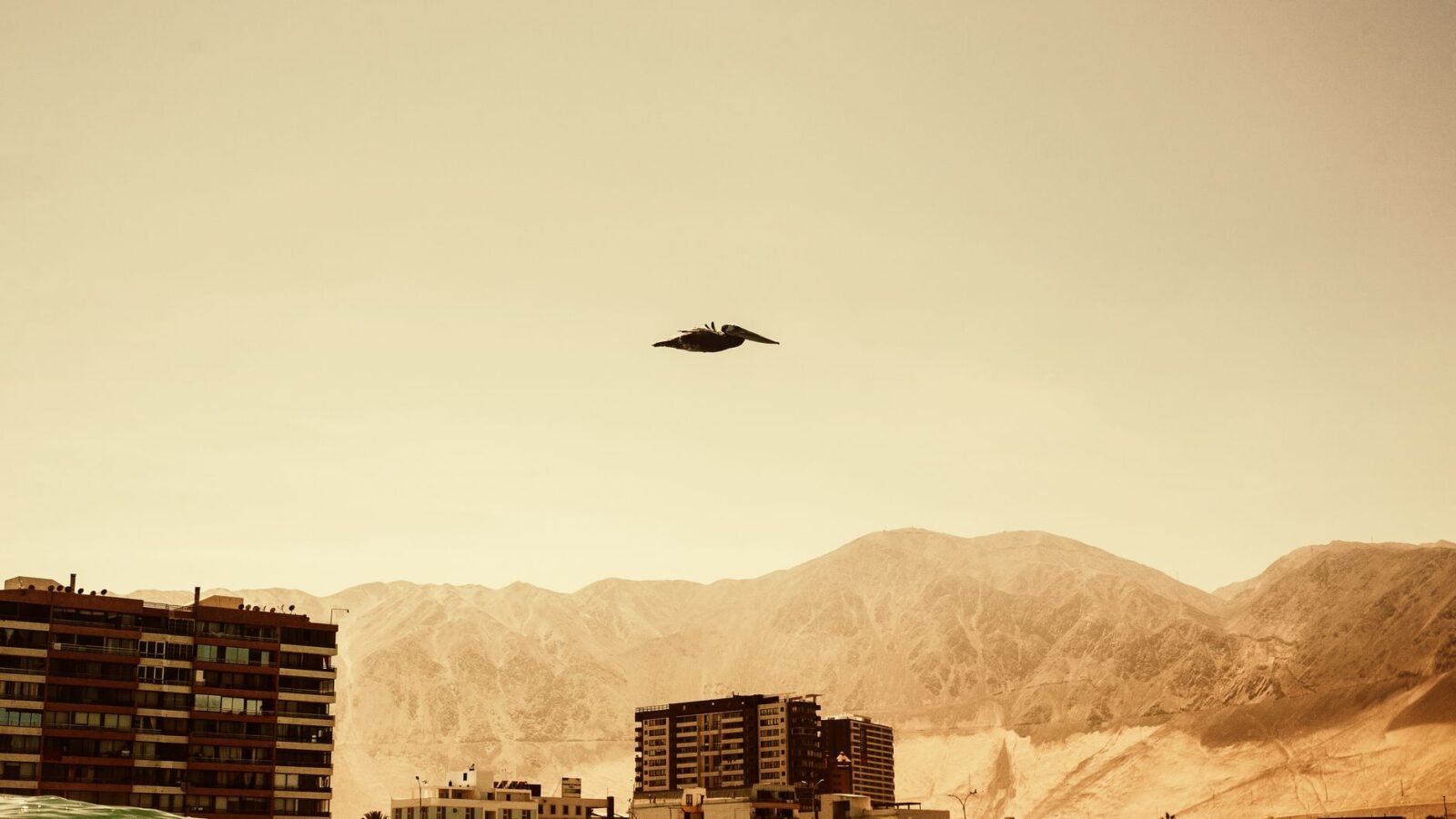 Thematic lead image: drone warfare, conflict — Yemen's evolving drone warfare challenges established aerial dominance | National Times