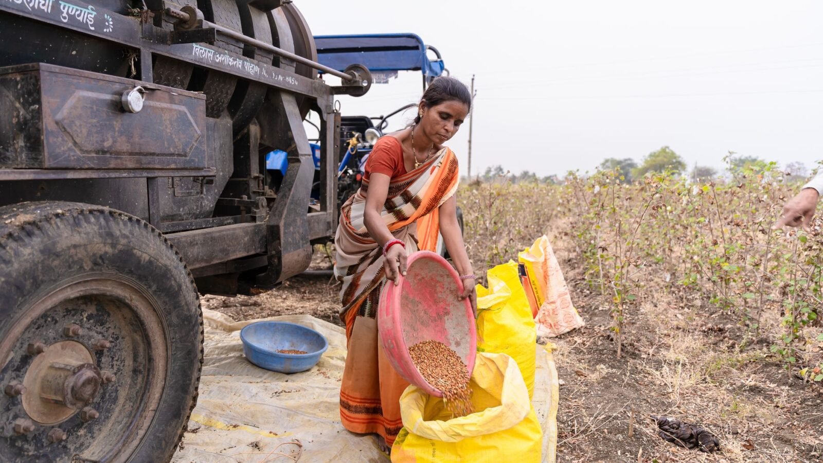 Thematic lead image: agricultural fertilizer bags — China's Fertilizer Exports to India: Supply Shift or Strategic Play? | National Times