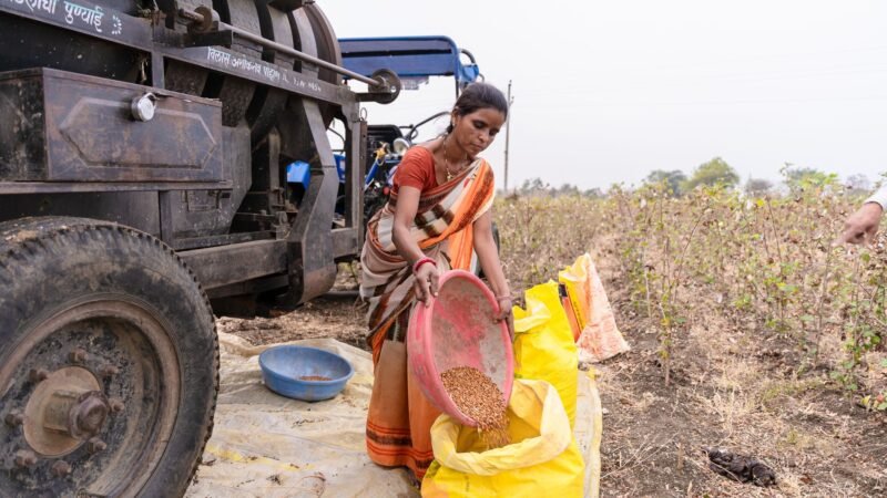 Thematic lead image: agricultural fertilizer bags — China's Fertilizer Exports to India: Supply Shift or Strategic Play? | National Times