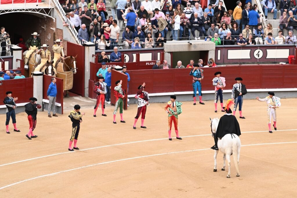 Thematic lead image: bullfighting, crowd, arena — Bullfighting fatality signals escalating legal challenges to the practice | National Times