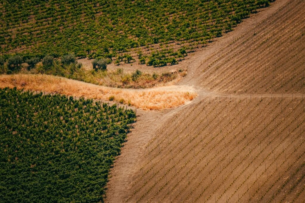 Thematic lead image: fragmented land administrative zones — Israel's 'Green Rafah' Zones: A New Model for Fragmentation in Gaza | National Times