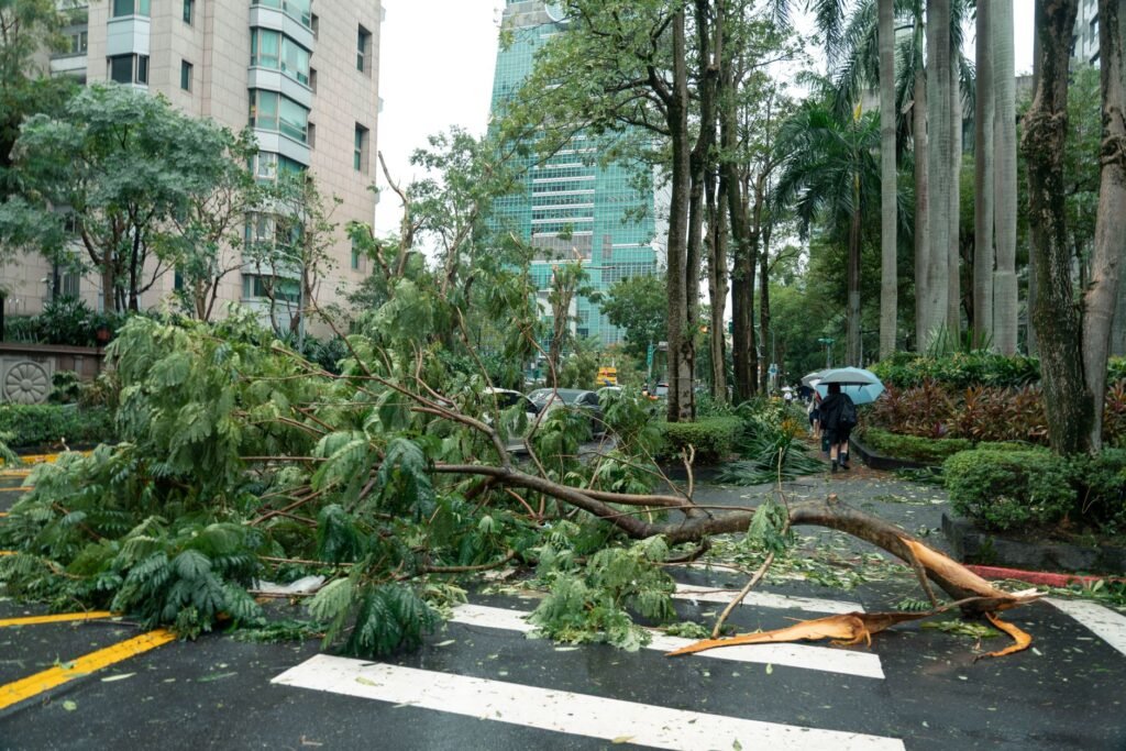 Thematic lead image: Typhoon Dolphin damage — Typhoon Dolphin Challenges Okinawa's Infrastructure Resilience | National Times