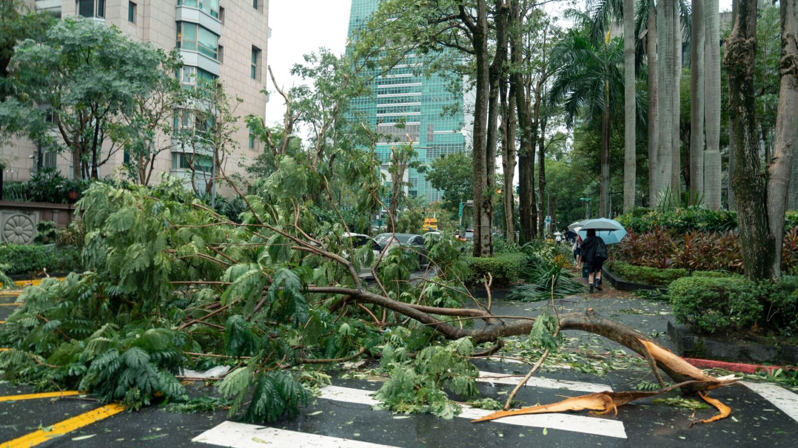 Thematic lead image: Typhoon Dolphin damage — Typhoon Dolphin Challenges Okinawa's Infrastructure Resilience | National Times