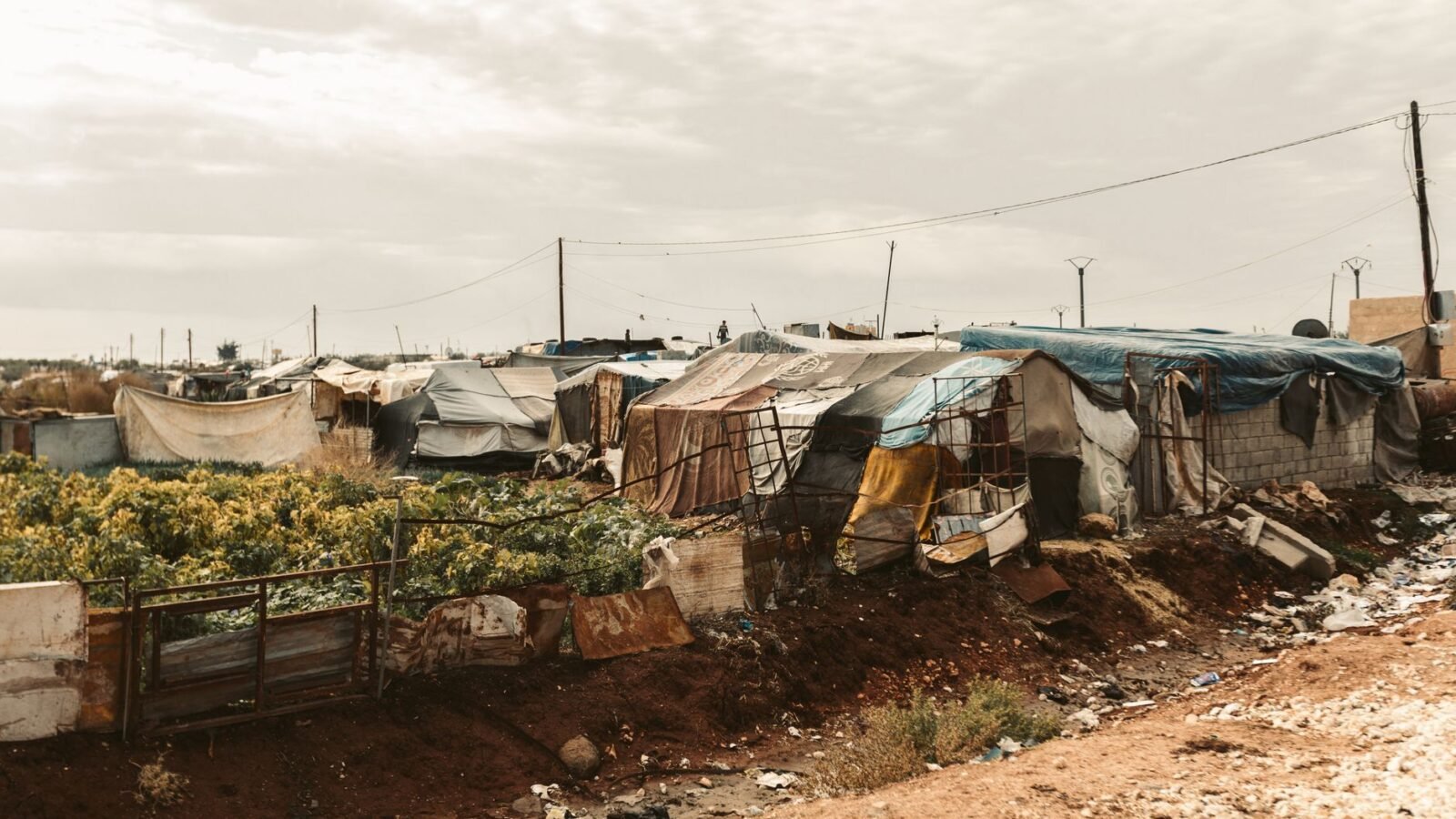 Thematic lead image: UNRWA aid distribution — UNRWA's Future: Humanitarian Imperative or Political Obstruction? | National Times