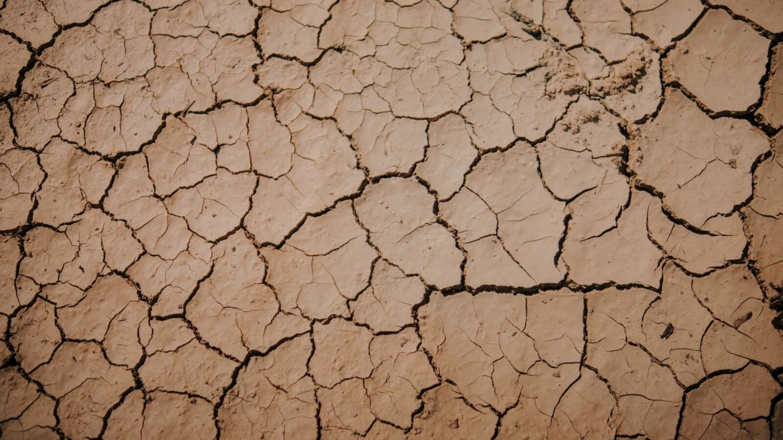 Thematic lead image: extreme weather patterns — El Niño's Unprecedented Strength Rewrites Climate Models, Economic Futures | National Times