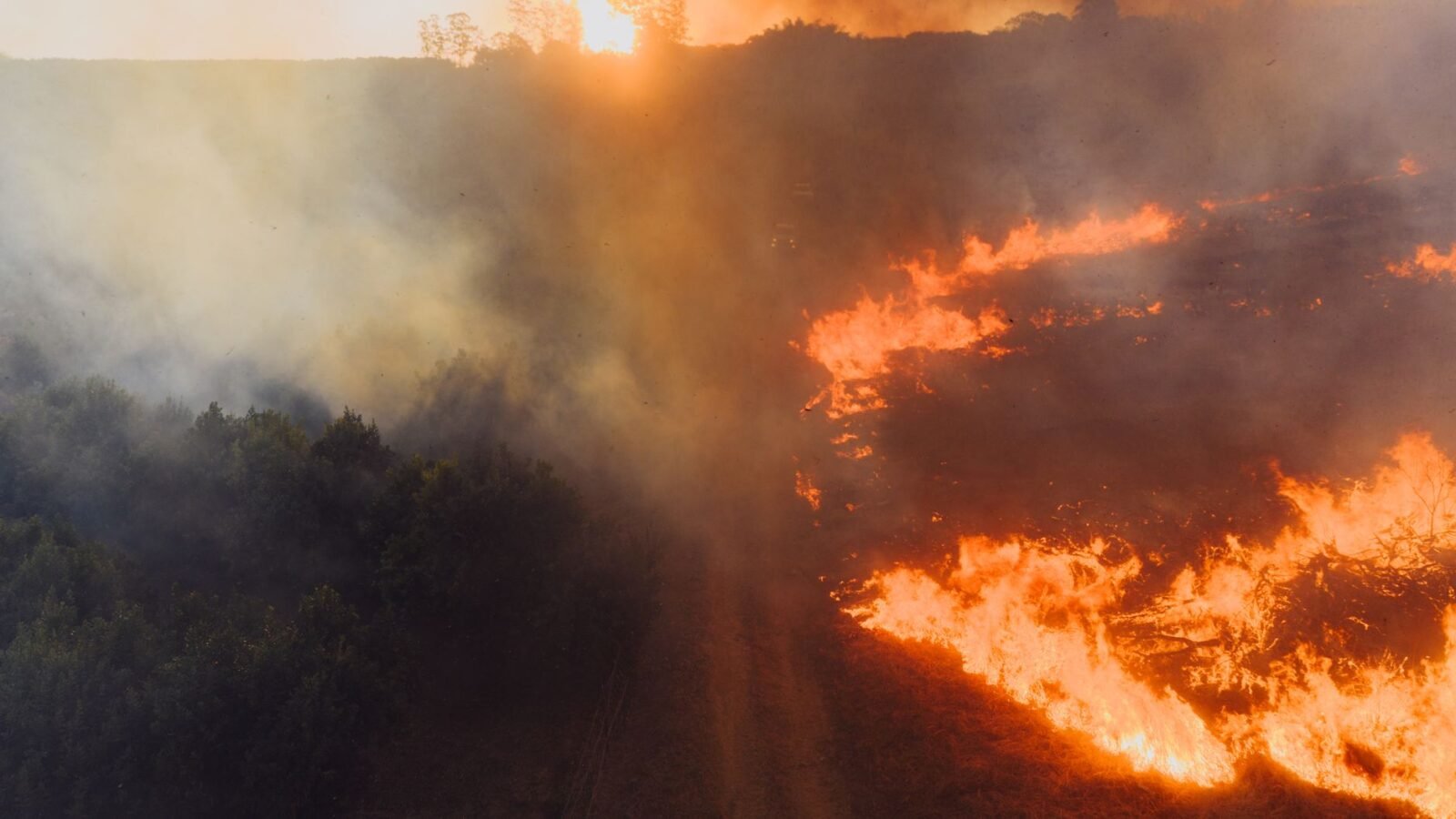 Thematic lead image: forest fire, smoke, emergency — Belgium's Largest Wildfire: A New Normal for European Climate Policy | National Times