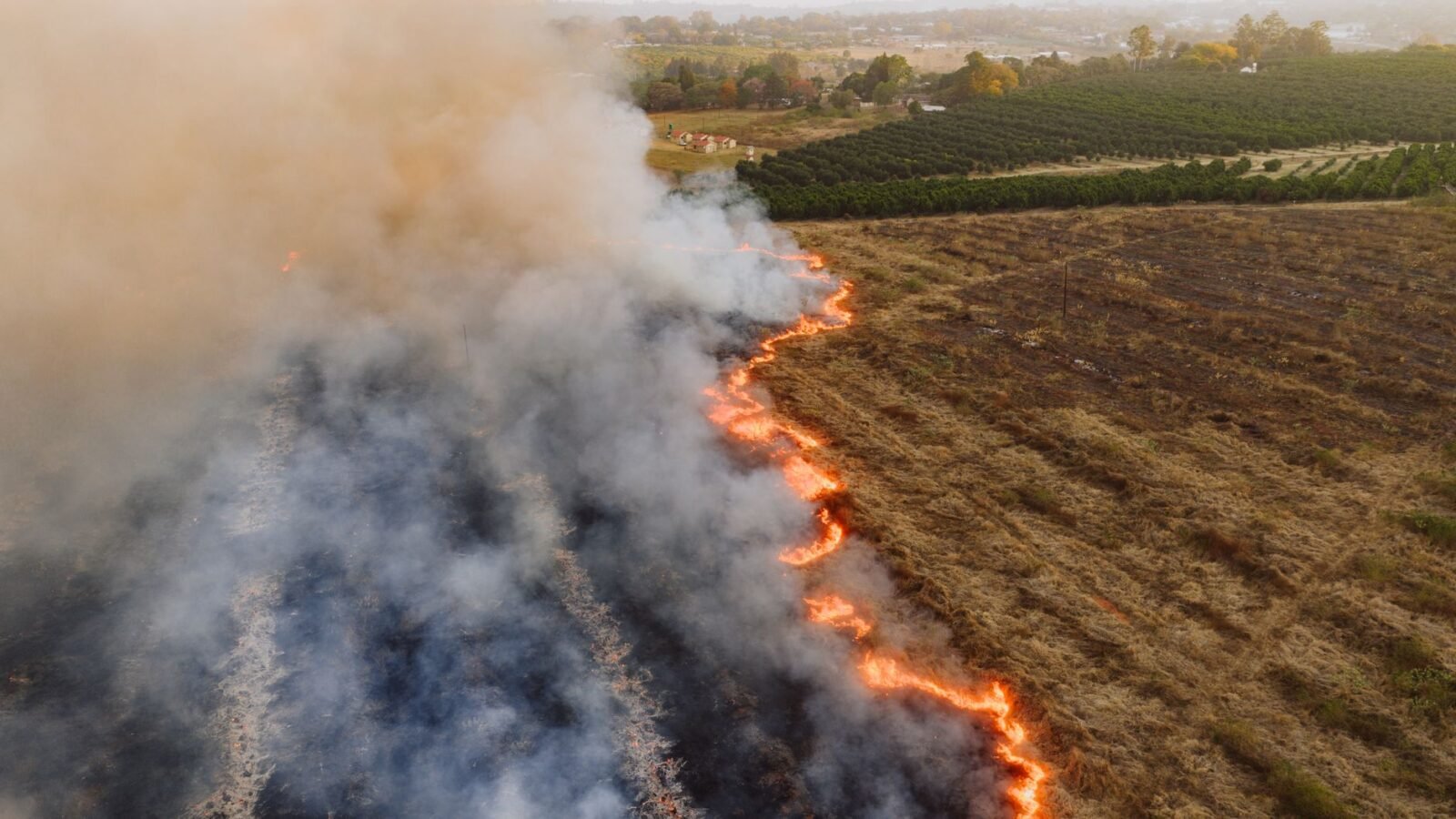 Thematic lead image: wildfire destruction, smoke, emergency — Canada's wildfire crisis: a test for supply chains and insurance models | National Times