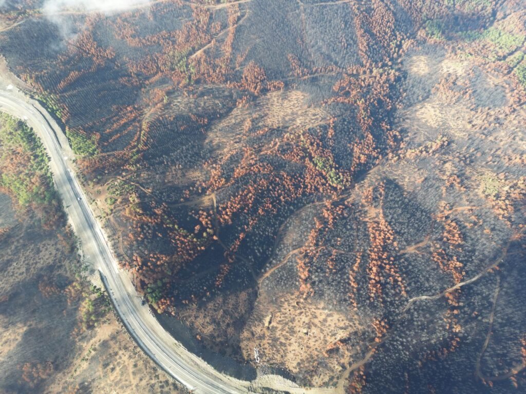 Thematic lead image: forest fire landscape — Canada's Wildfire Crisis: Scenarios for the Boreal Landscape to 2030 | National Times