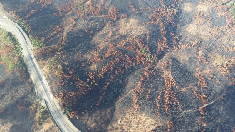 Thematic lead image: forest fire landscape — Canada's Wildfire Crisis: Scenarios for the Boreal Landscape to 2030 | National Times