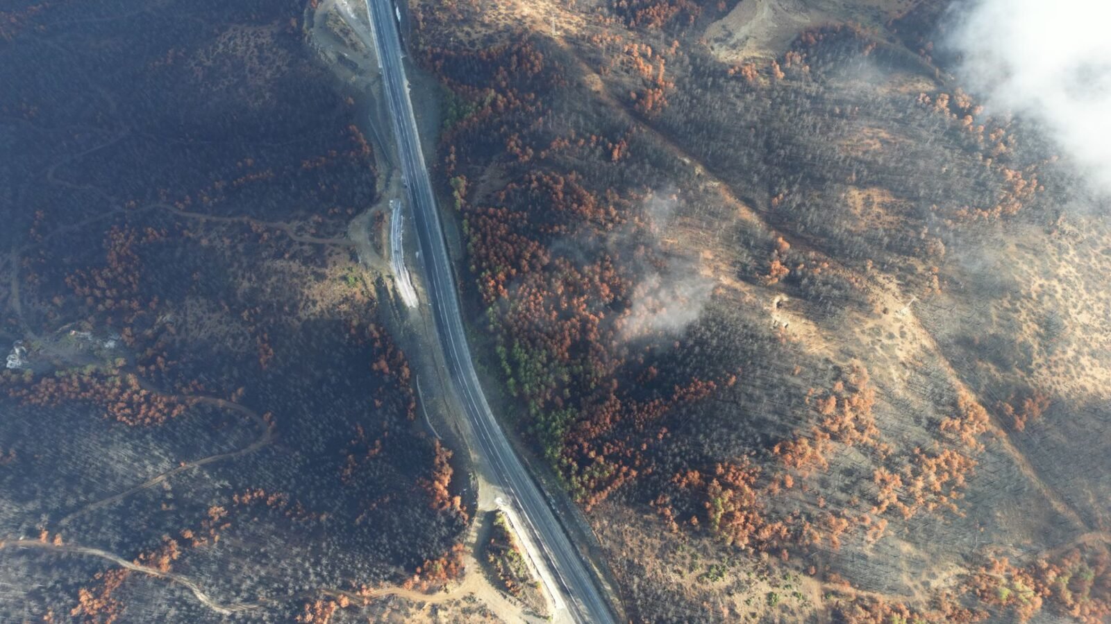Thematic lead image: wildfire smoke forest — Canada Wildfire Intensification Signals New Regional Climate Thresholds | National Times