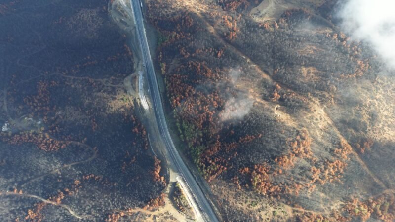 Thematic lead image: wildfire smoke forest — Canada Wildfire Intensification Signals New Regional Climate Thresholds | National Times