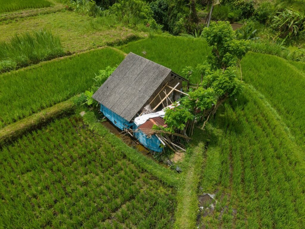 Thematic lead image: earthquake damage — Indonesia Earthquake: Beyond Immediate Aid | National Times