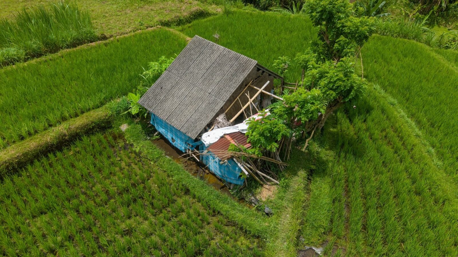 Thematic lead image: earthquake damage — Indonesia Earthquake: Beyond Immediate Aid | National Times