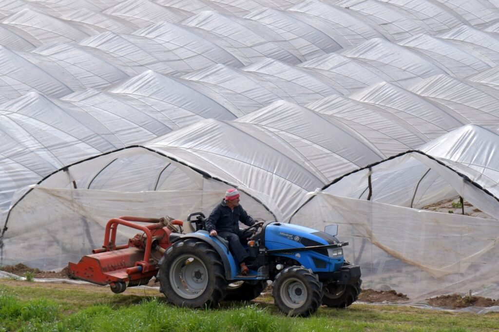Thematic lead image: gaza agriculture greenhouses — Gaza's Agricultural Reconstruction: Resilience or Strategic Precarity? | National Times