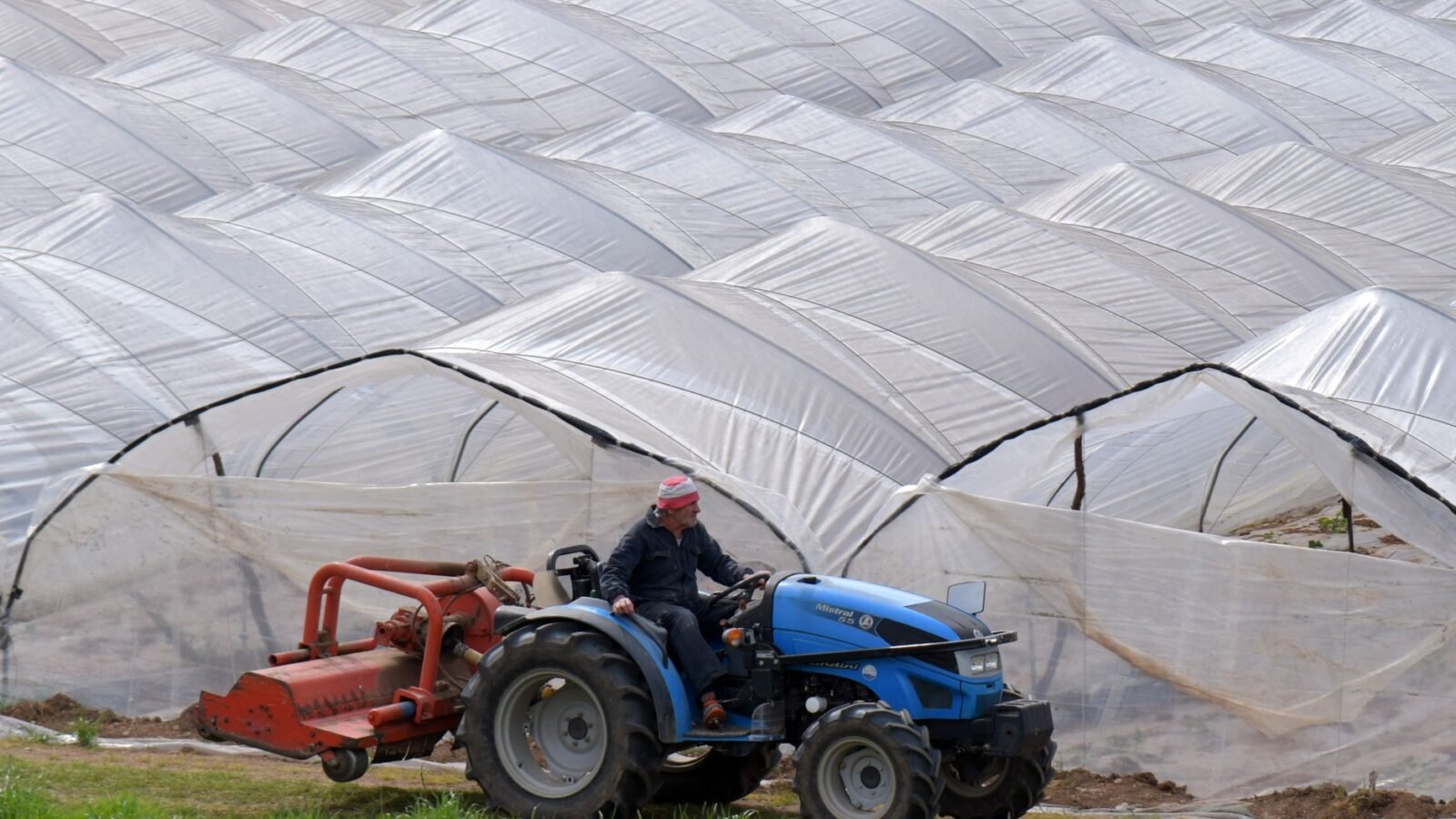 Thematic lead image: gaza agriculture greenhouses — Gaza's Agricultural Reconstruction: Resilience or Strategic Precarity? | National Times