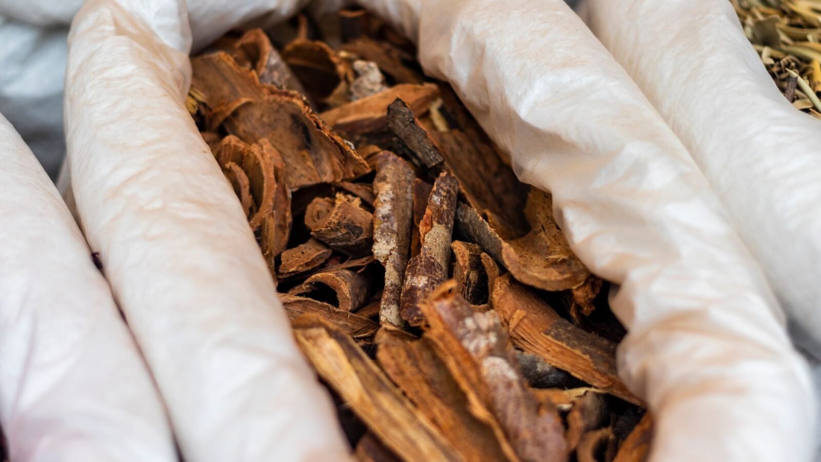 Thematic lead image: traditional medicine market — Yemen's healthcare collapse redefines medical access amid conflict | National Times