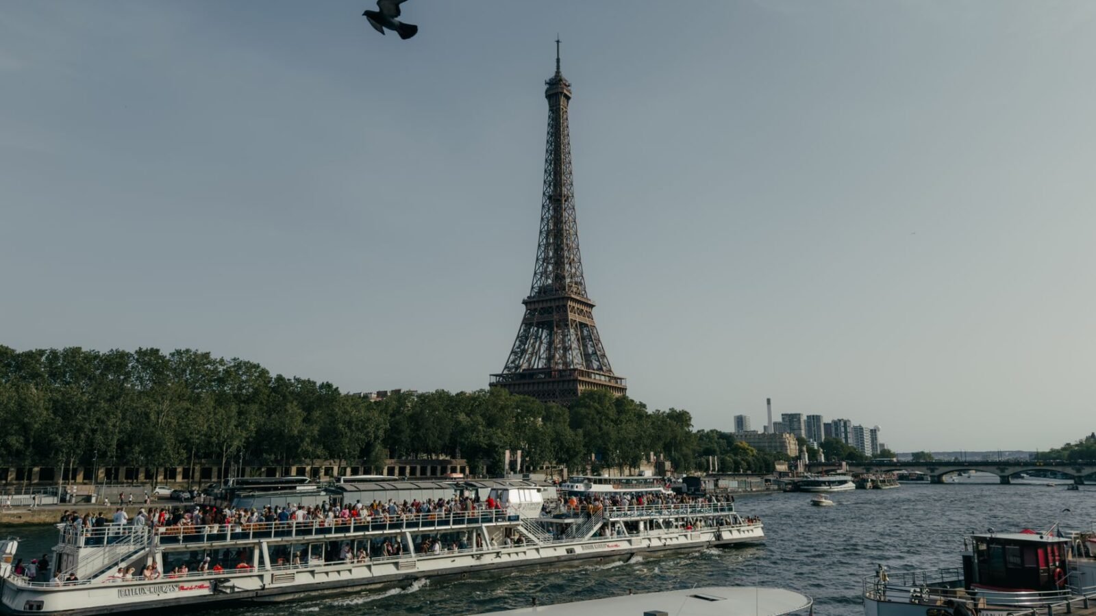 Thematic lead image: Seine river, high diving — Seine Water Quality Test: Beyond Hydrocarbon Traces | National Times