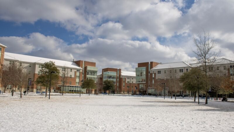 Thematic lead image: university campus security — Virginia State University Shooting: A Test Case for Campus Security Models | National Times