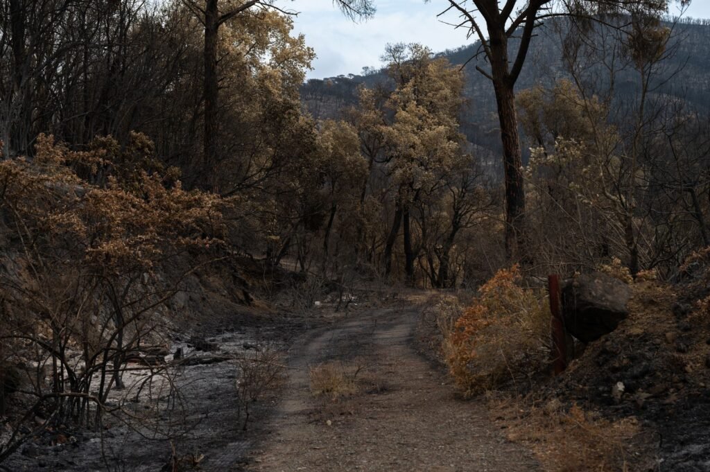 Thematic lead image: alpine village infrastructure — Alpine Fire Exposes Strain on Remote Infrastructure to 2030 | National Times