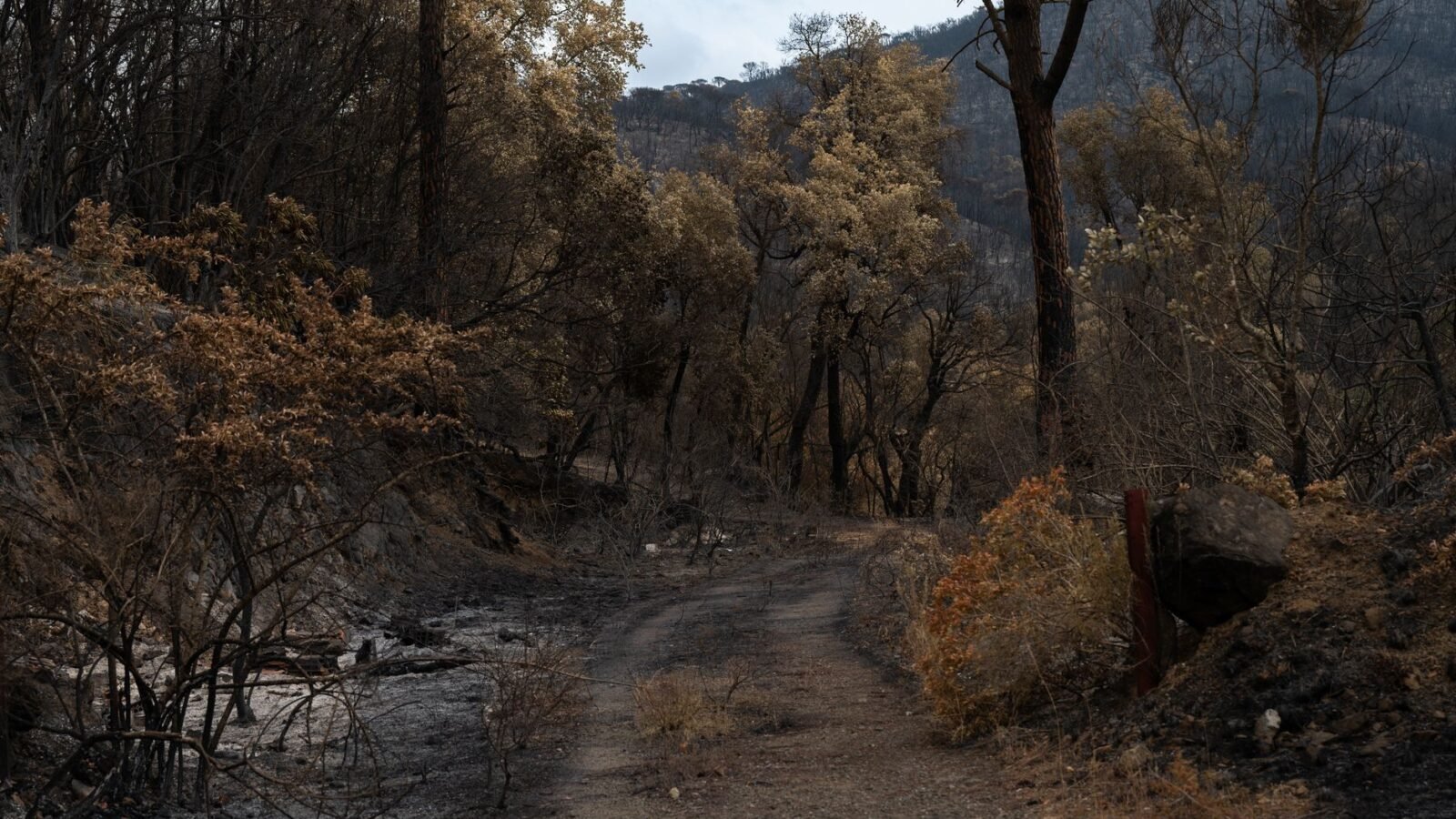 Thematic lead image: alpine village infrastructure — Alpine Fire Exposes Strain on Remote Infrastructure to 2030 | National Times