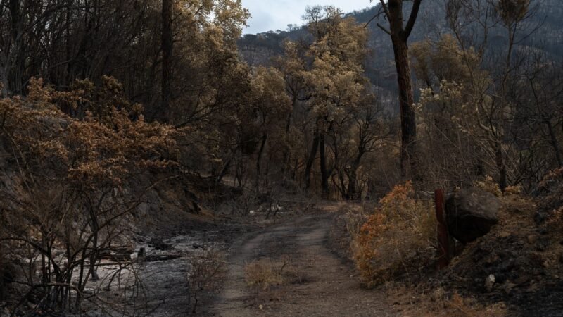 Thematic lead image: alpine village infrastructure — Alpine Fire Exposes Strain on Remote Infrastructure to 2030 | National Times