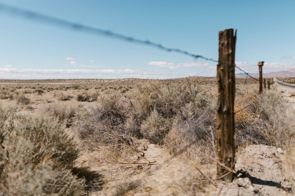 Thematic lead image: Lebanon Syria border — Lebanon's extradition of Assad officer signals shifting regional calculus | National Times