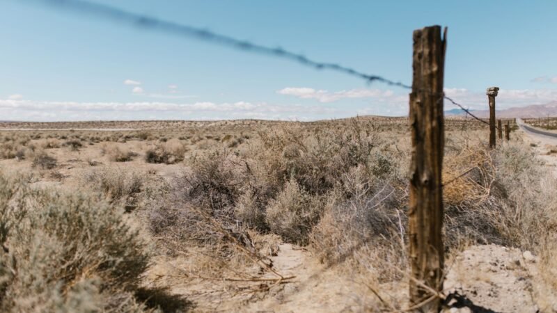 Thematic lead image: Lebanon Syria border — Lebanon's extradition of Assad officer signals shifting regional calculus | National Times