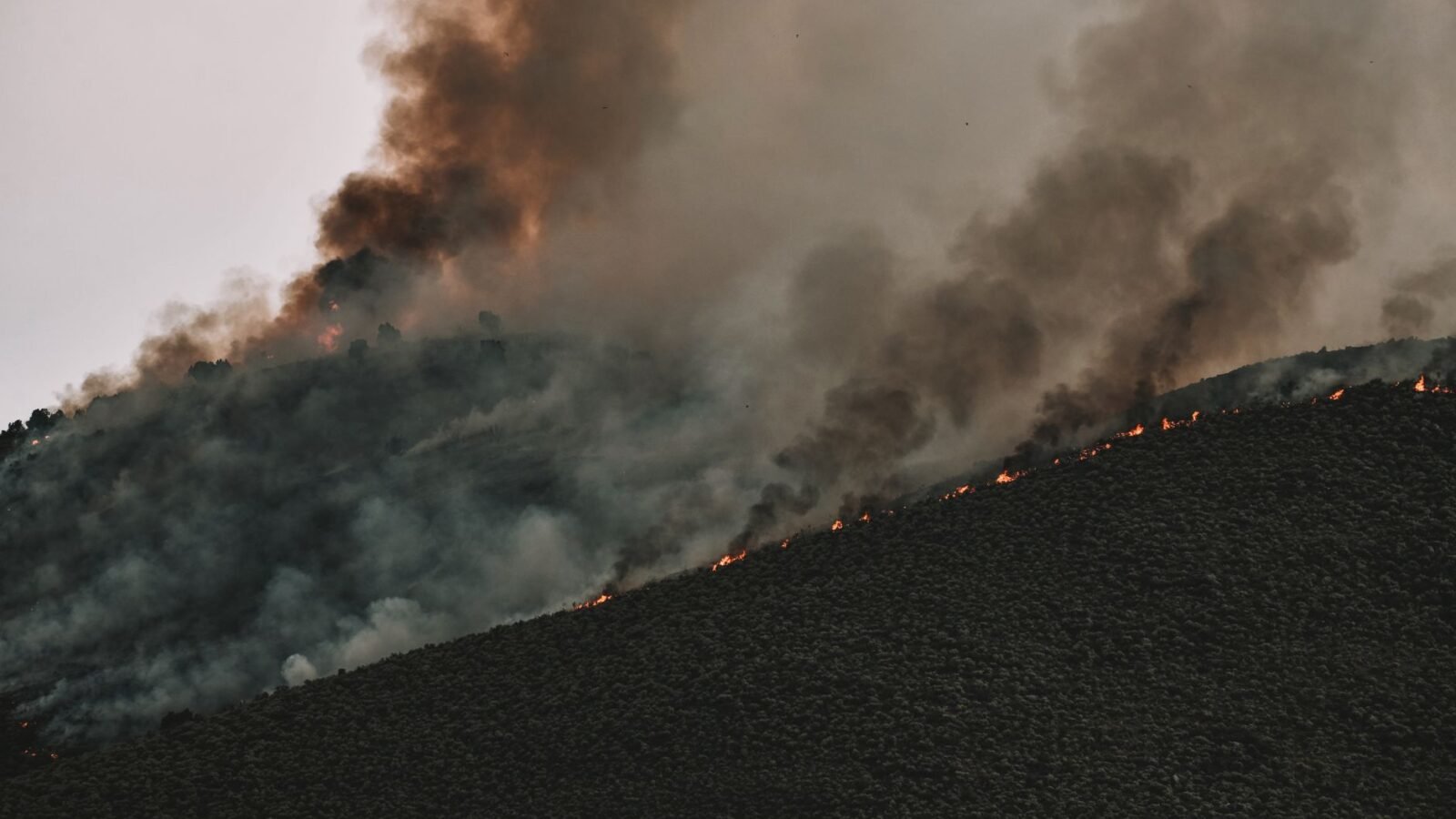 Thematic lead image: wildfires, island, smoke — Salamina Fires Expose Deeper Greek Preparedness Deficiencies | National Times