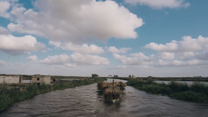 Thematic lead image: diplomacy, infrastructure, Suez Canal — Xi's Egypt Visit: A Geopolitical Gambit Amidst Regional Crises | National Times