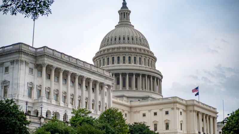 Thematic lead image: political rally, economic policy — Trump's $5,000 Dividend Proposal: Political Rhetoric or Policy Precedent? | National Times