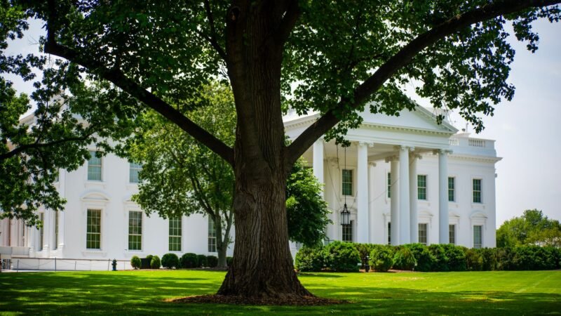 Thematic lead image: AI, technology, politics — Trump Rejects AI 'Doom-Mongering' Amidst Geopolitical Race | National Times