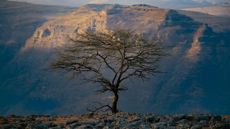 Thematic lead image: Ethiopia Tigray conflict — Ethiopia-Tigray: Competing Claims Signal Unravelling Ceasefire | National Times