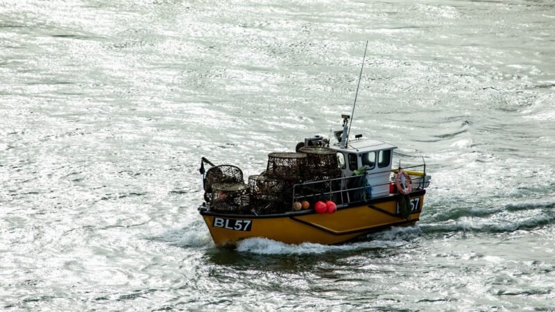 Thematic lead image: Channel migrant boat interception — Channel Migration: Enforcement Trends and Policy Trajectories to 2030 | National Times