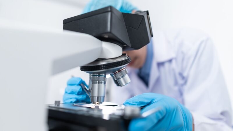 Thematic lead image: pharmaceutical research and development — Novo Nordisk's Strategic Gaps Signal Broader M&A Intent | National Times
