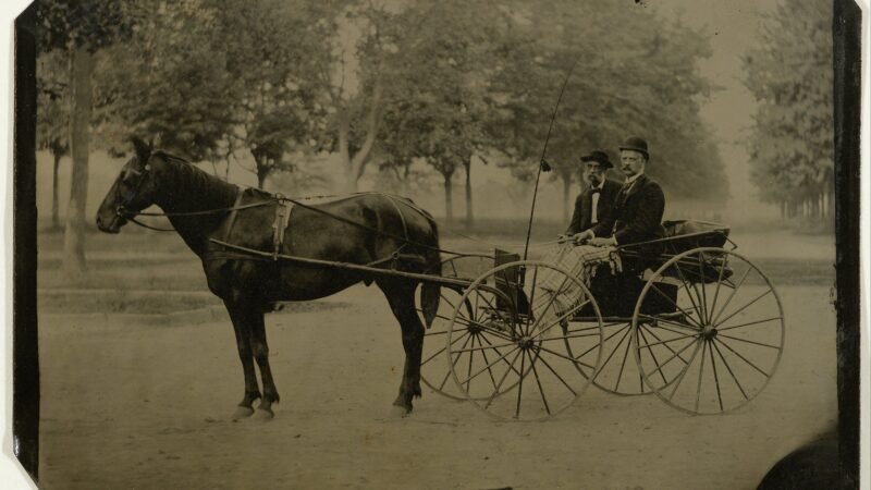 Thematic lead image: horse-drawn carriage — New York's Carriage Ban: A Precedent for Urban Animal Welfare Legislation? | National Times