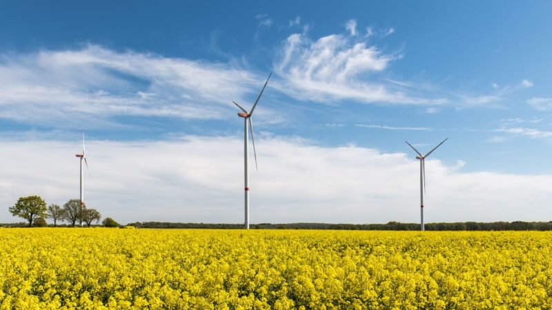 Thematic lead image: oil and gas, renewable energy — Chevron's CFO Appointment Signals Strategic Pivot Beyond Hydrocarbons | National Times