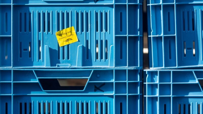 Thematic lead image: military aid logistics — Western Military Posture Underpins Ukraine's Supply Chain Challenges | National Times