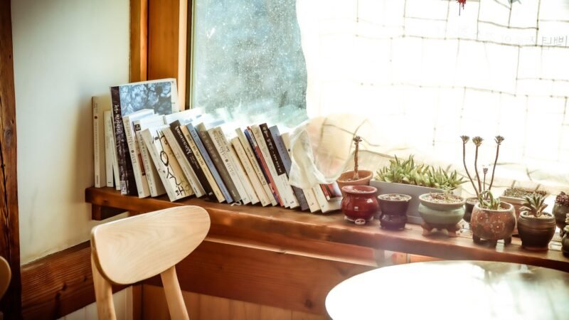 Thematic lead image: young person reading book — South Korea's 'Texthip' Trend Challenges Digital Domination | National Times