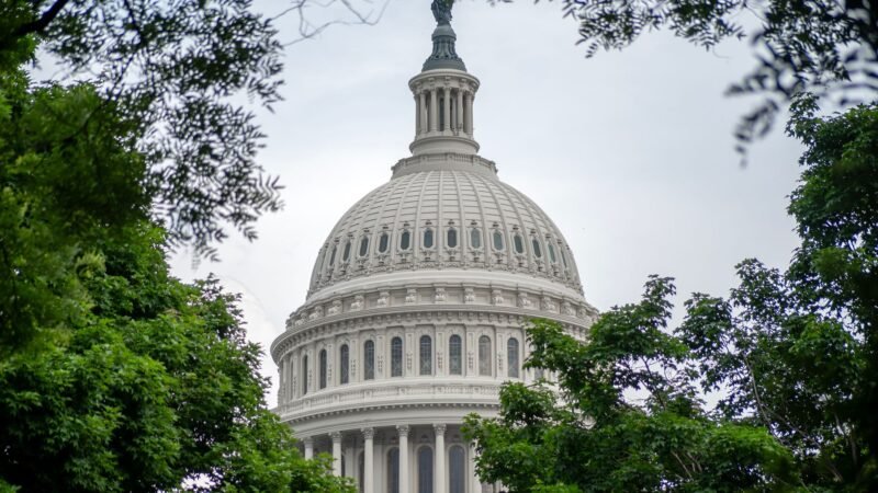 Thematic lead image: immigration policy, international law — US Deportation Surge to Africa Tests International Legal Framework | National Times