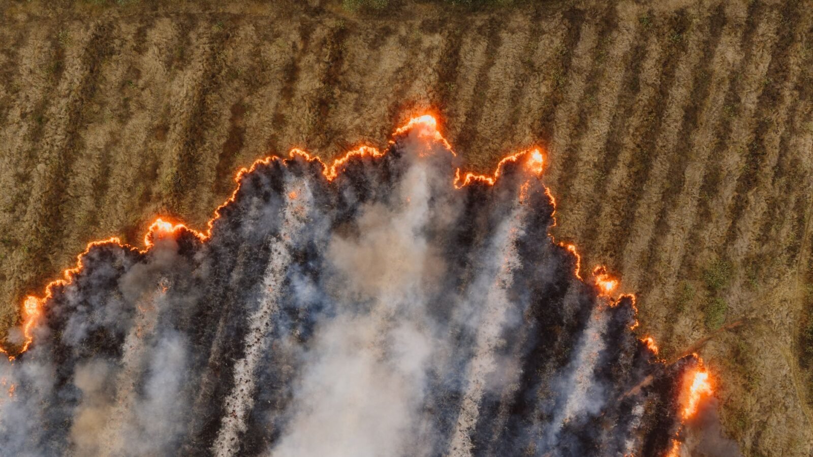 Thematic lead image: peatland fire haze — Indonesia's Peat Fires: A Decade of Escalation or Abatement? | National Times